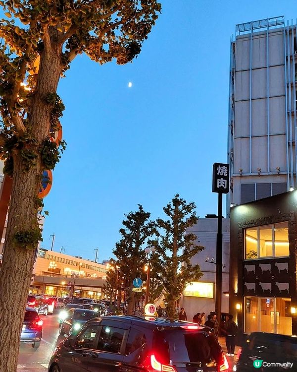 宇都宮餃子之旅🥟😋 うまい🍴😆✨