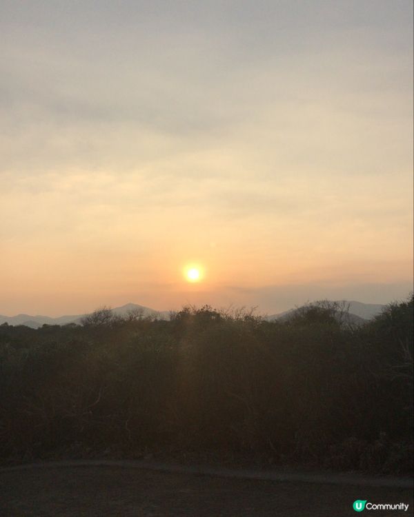 塔門離島之旅🏝️放鬆身心🌊🌸