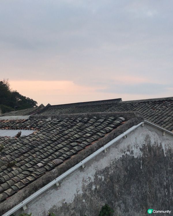 塔門離島之旅🏝️放鬆身心🌊🌸