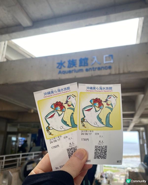 沖繩一日遊 🏖️  輕鬆玩盡五大景點！