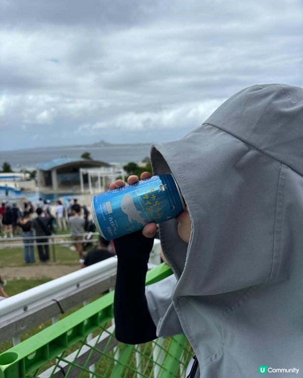 沖繩一日遊 🏖️  輕鬆玩盡五大景點！
