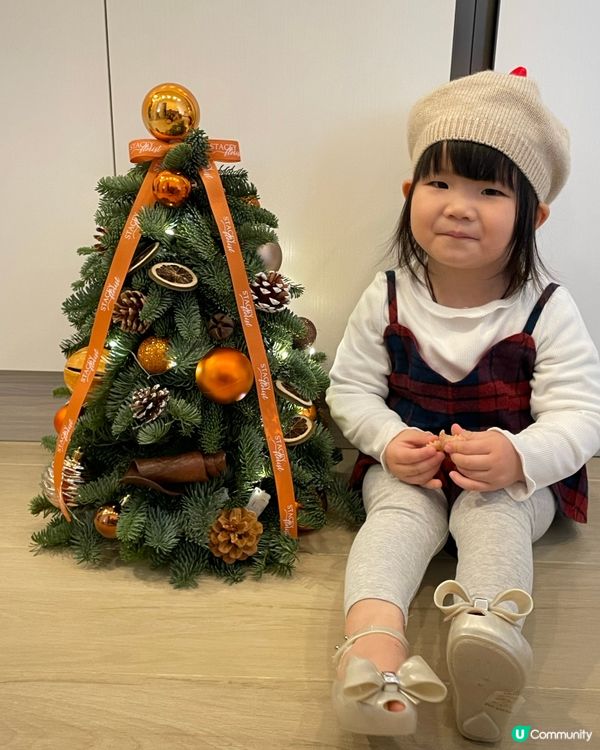 🎄🎄聖誕樹香氣滿屋🏠