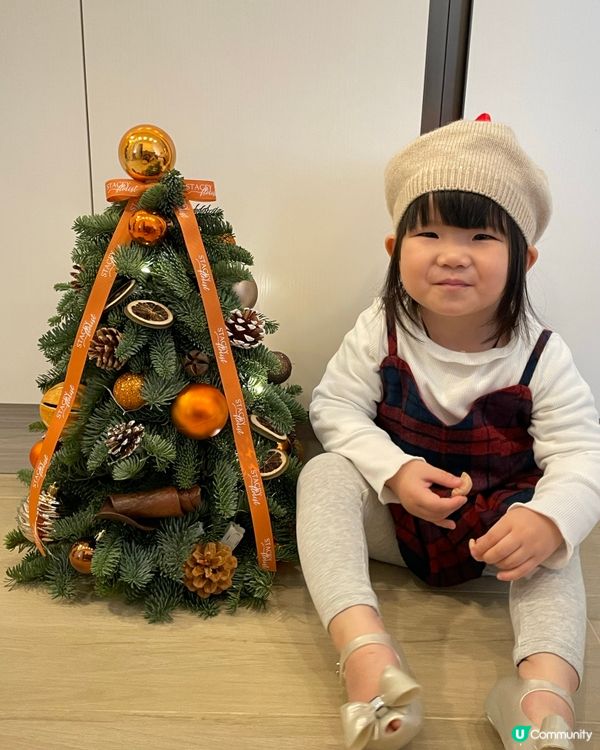 🎄🎄聖誕樹香氣滿屋🏠