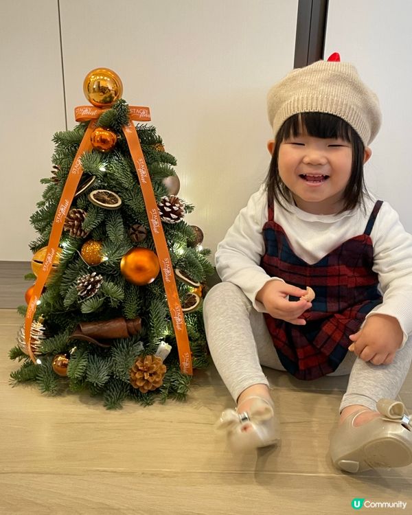 🎄🎄聖誕樹香氣滿屋🏠