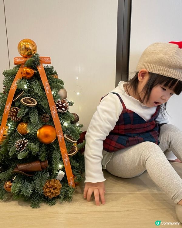 🎄🎄聖誕樹香氣滿屋🏠