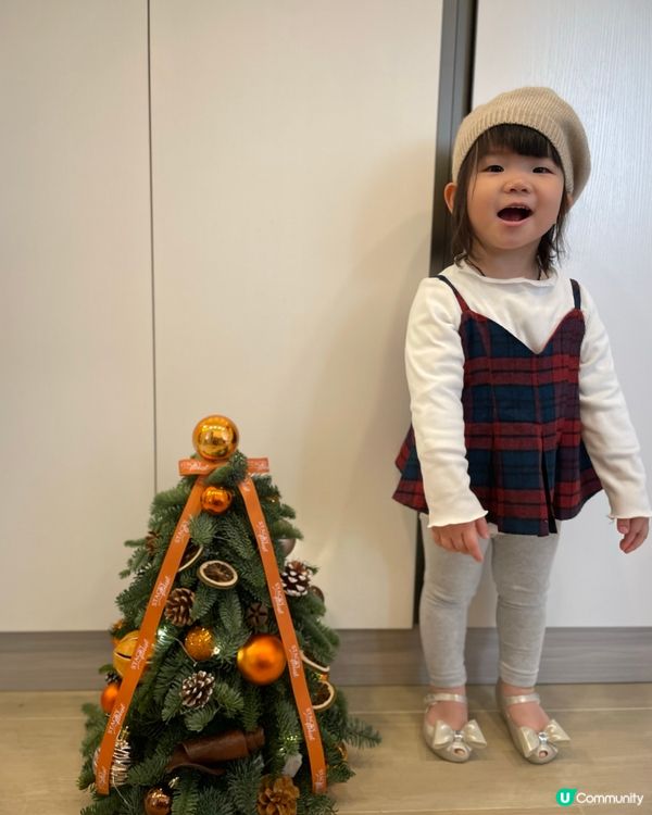 🎄🎄聖誕樹香氣滿屋🏠