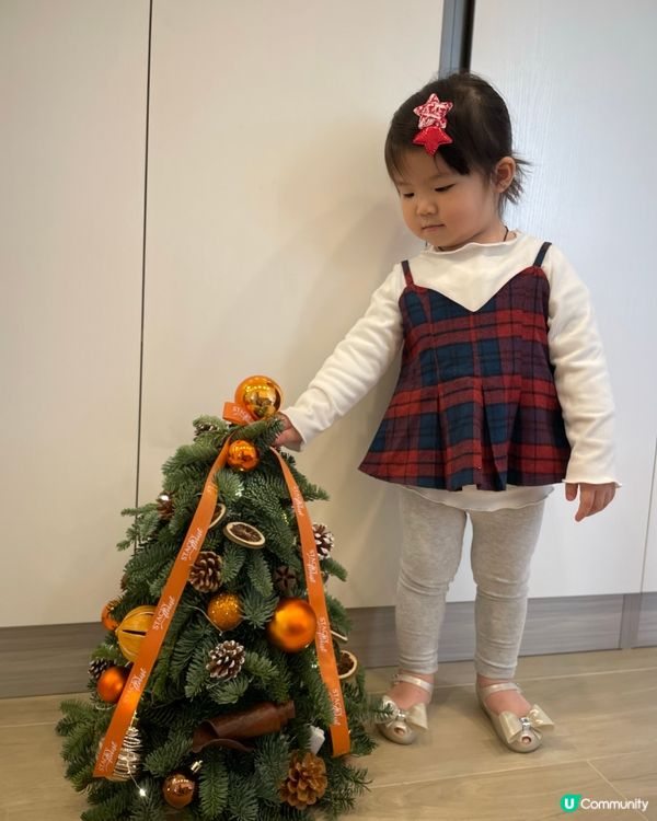 🎄🎄聖誕樹香氣滿屋🏠