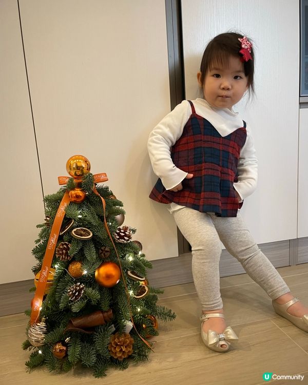 🎄🎄聖誕樹香氣滿屋🏠