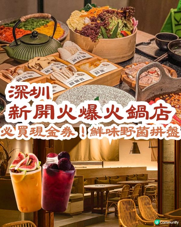 深圳新開火爆火鍋店🔥必買現金券‼️鮮味野菌拼盤