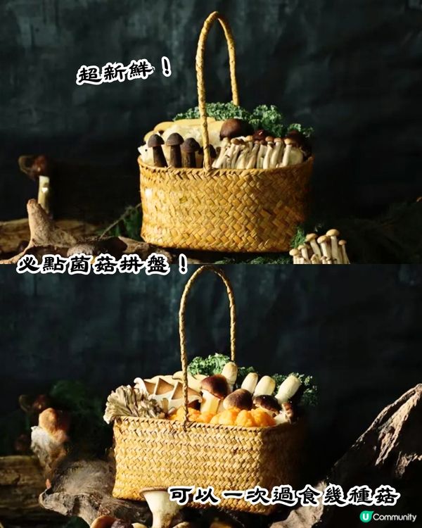 深圳新開火爆火鍋店🔥必買現金券‼️鮮味野菌拼盤