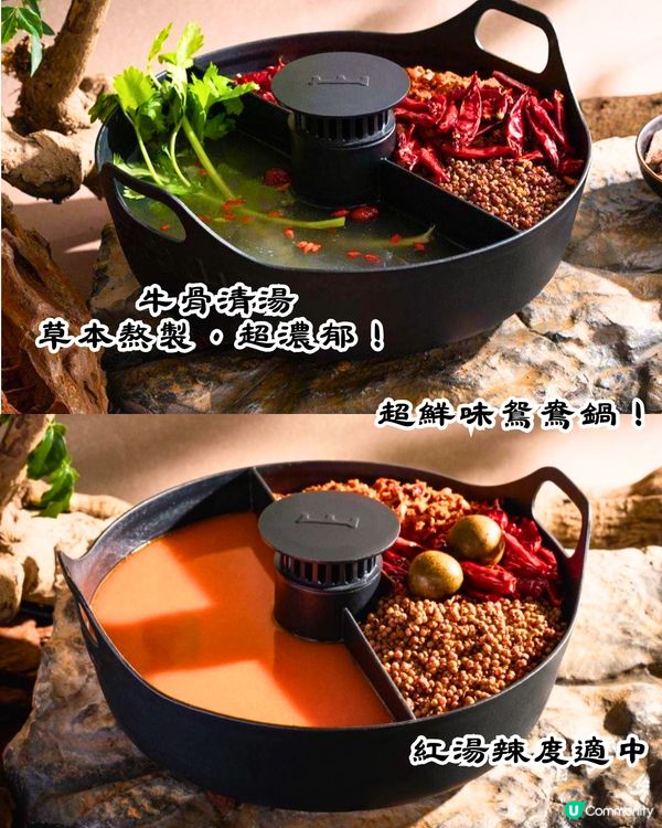 深圳新開火爆火鍋店🔥必買現金券‼️鮮味野菌拼盤