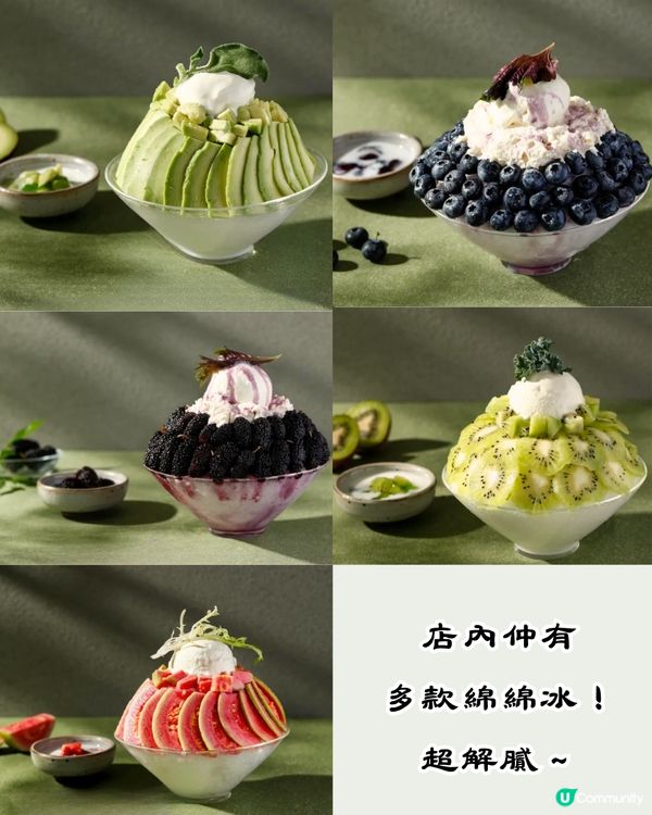 深圳新開火爆火鍋店🔥必買現金券‼️鮮味野菌拼盤