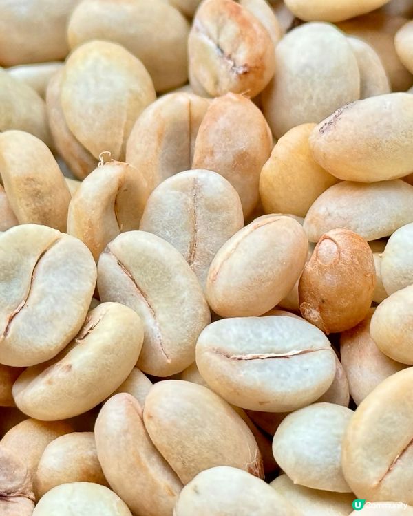 自家種植有機港產咖啡豆 2.0