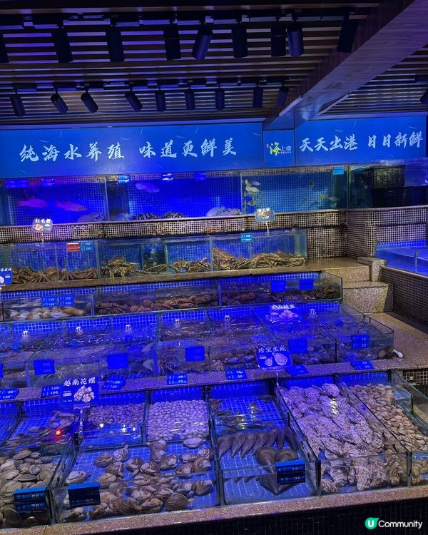 青蓬海上撈🦀️ 食海鮮唔洗貴！