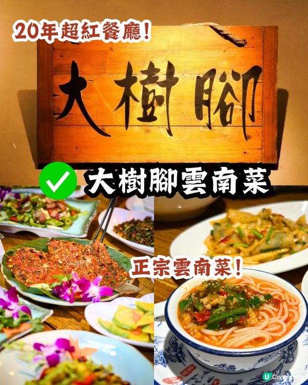 深圳福田區3大美食街😋正宗滷水鵝/手工砂鍋粥‼️附地址+交通教學🚗