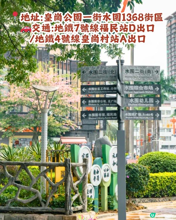 深圳福田區3大美食街😋正宗滷水鵝/手工砂鍋粥‼️附地址+交通教學🚗