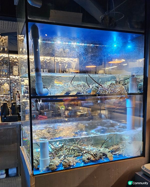 星空下的浪漫餐廳：性價比極高 超推薦的約會餐廳