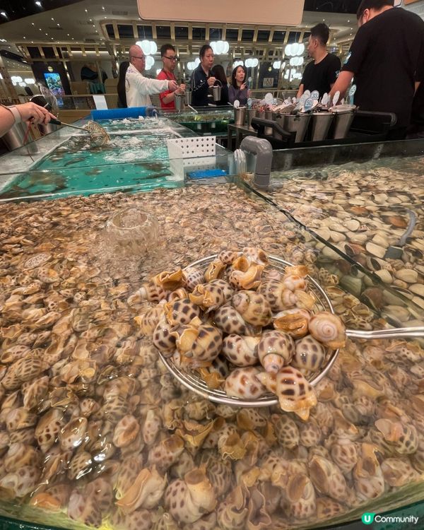 人氣大熱🔥千海水產海鮮火鍋放題👍🏼