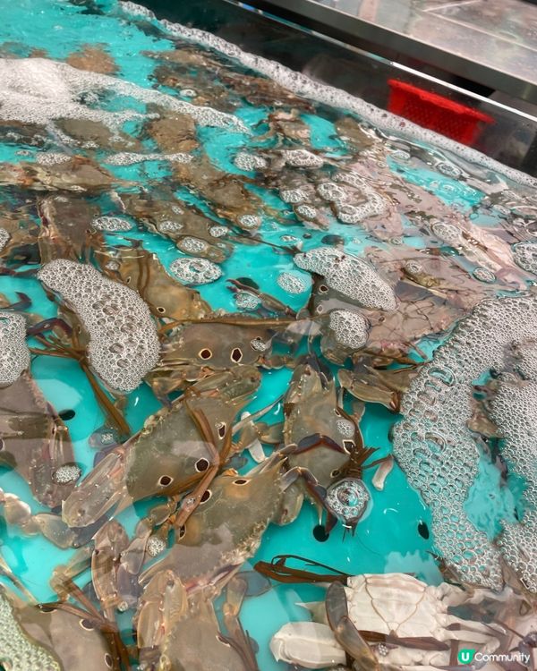 人氣大熱🔥千海水產海鮮火鍋放題👍🏼