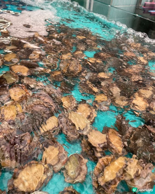 人氣大熱🔥千海水產海鮮火鍋放題👍🏼