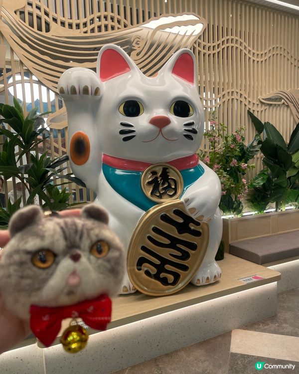 人氣大熱🔥千海水產海鮮火鍋放題👍🏼