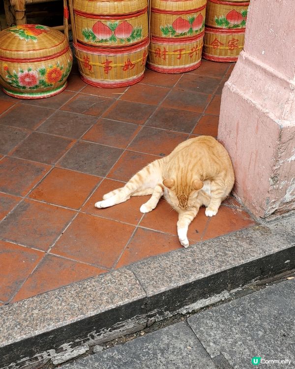 傳統中國古老家用品店都好靚