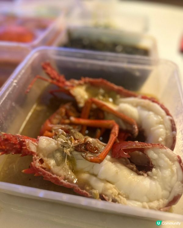 龍蝦🦞大大隻