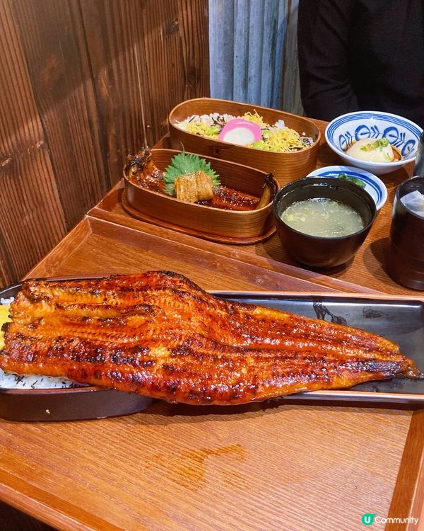 尖沙咀大條肥美鰻魚丼飯🤤  #鰻工房