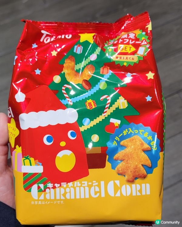 尋找聖誕節樹的桃哈多