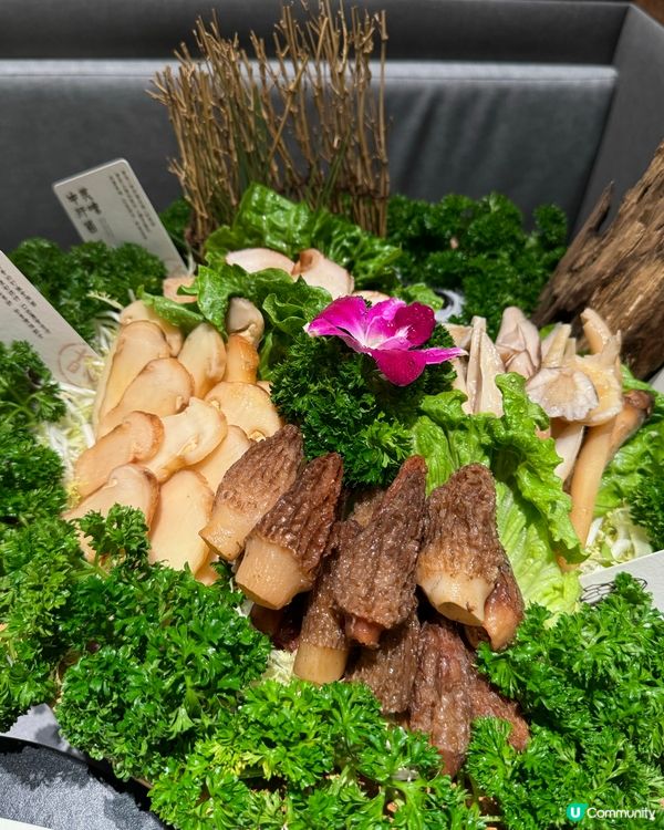 【🍄‍🟫山林食鮮菌🥘養生榮山鍋】