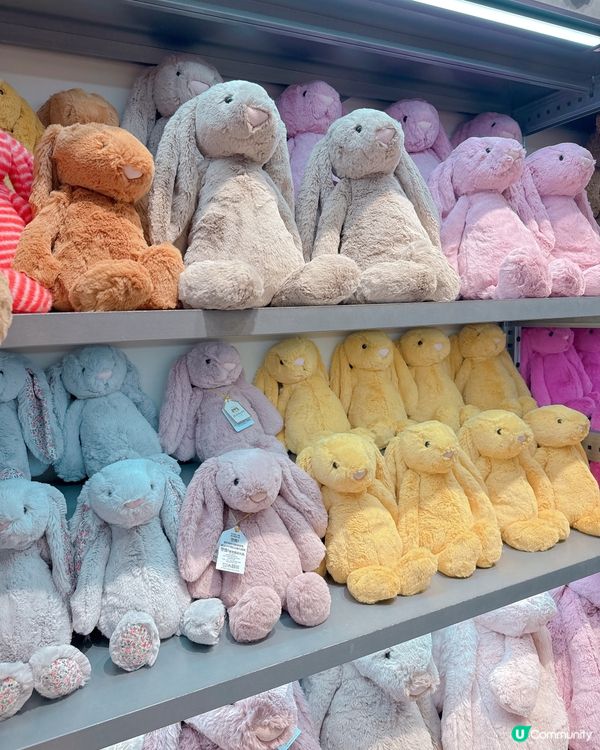 人氣Jelly Cat出現深業上城