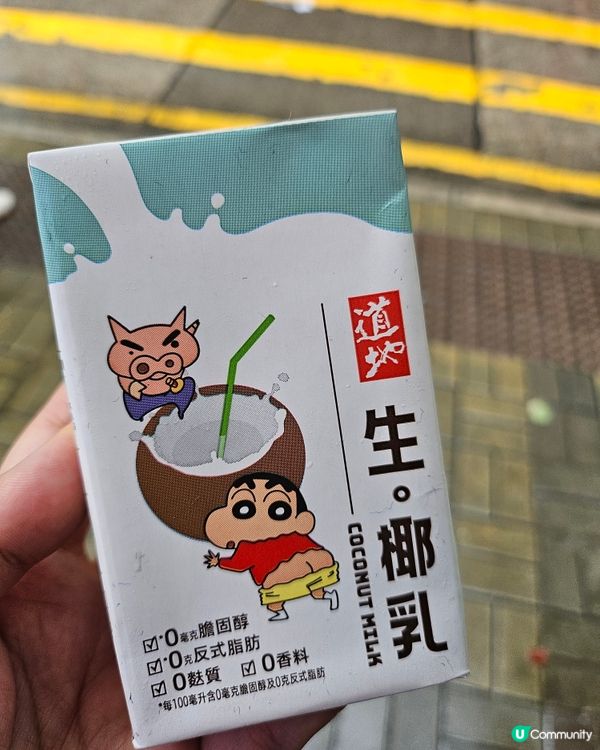 新野 自制椰奶茶