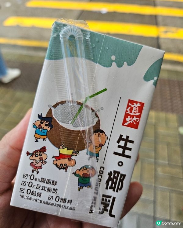 新野 自制椰奶茶