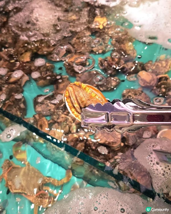 今期大熱自己撈生猛海鮮自助放題(宵夜)