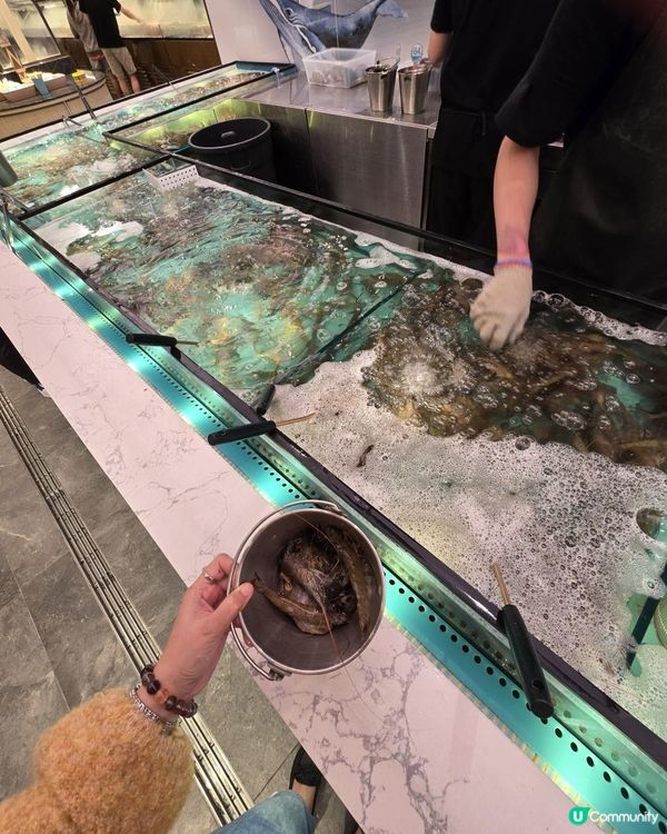 今期大熱自己撈生猛海鮮自助放題(宵夜)