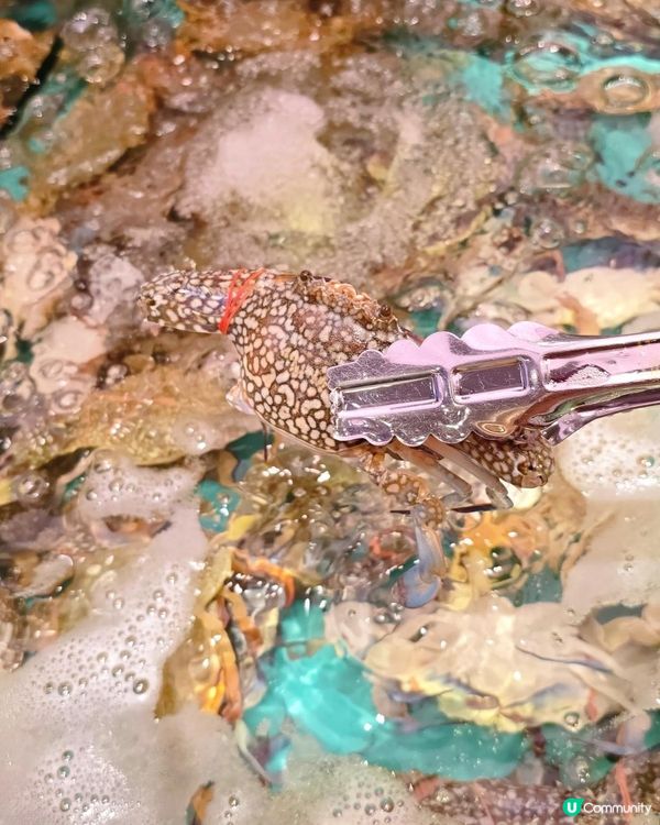 今期大熱自己撈生猛海鮮自助放題(宵夜)