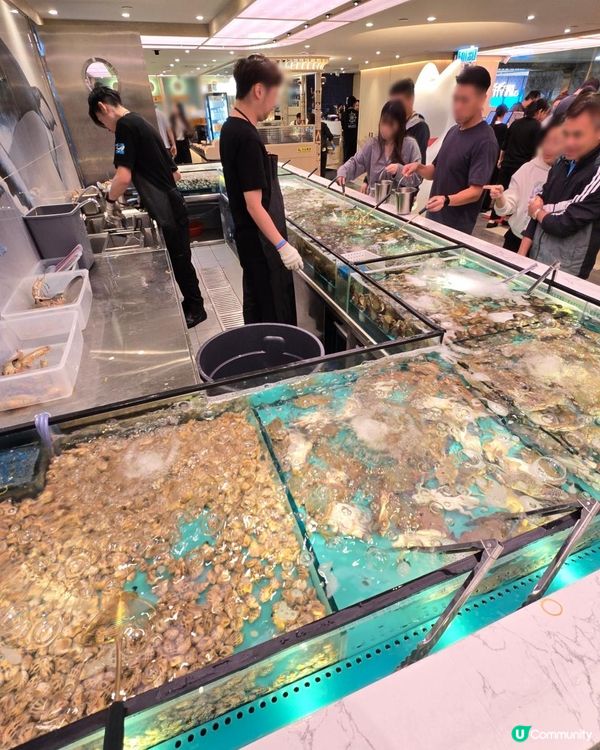 今期大熱自己撈生猛海鮮自助放題(宵夜)