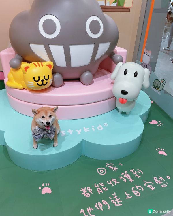 🐶阿塵阿爬北角匯見面！🥰