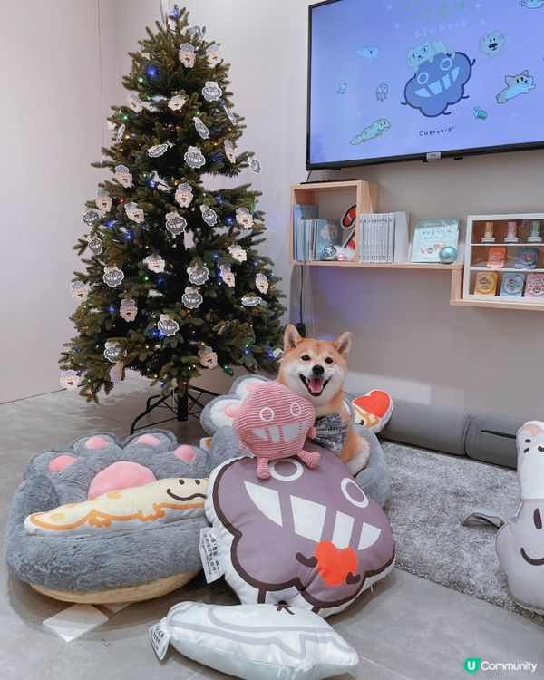 🐶阿塵阿爬北角匯見面！🥰