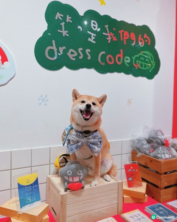 🐶阿塵阿爬北角匯見面！🥰