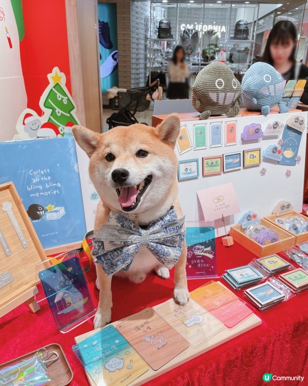 🐶阿塵阿爬北角匯見面！🥰