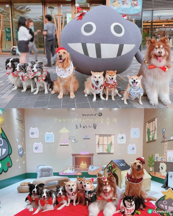 🐶阿塵阿爬北角匯見面！🥰