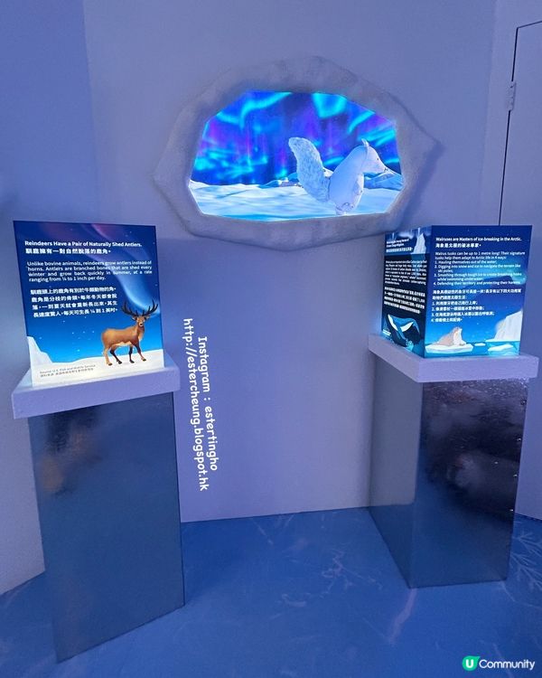 聖誕打卡 📸 Airside 極地動物齊集夢幻冰極村莊