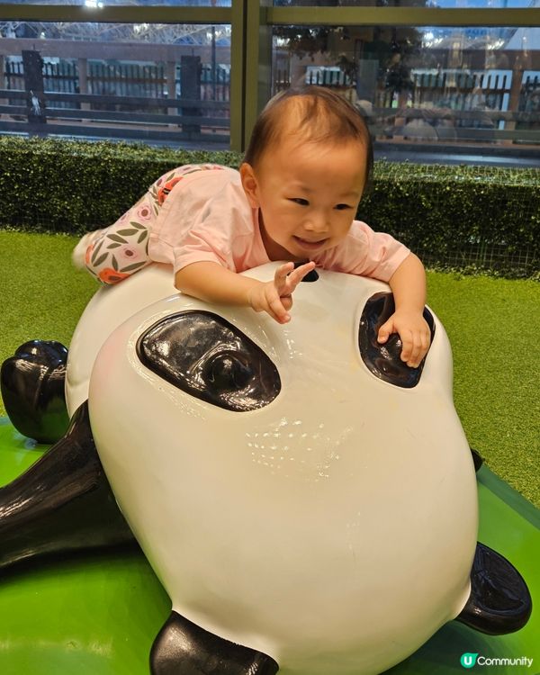 商場熊貓熱潮🐼