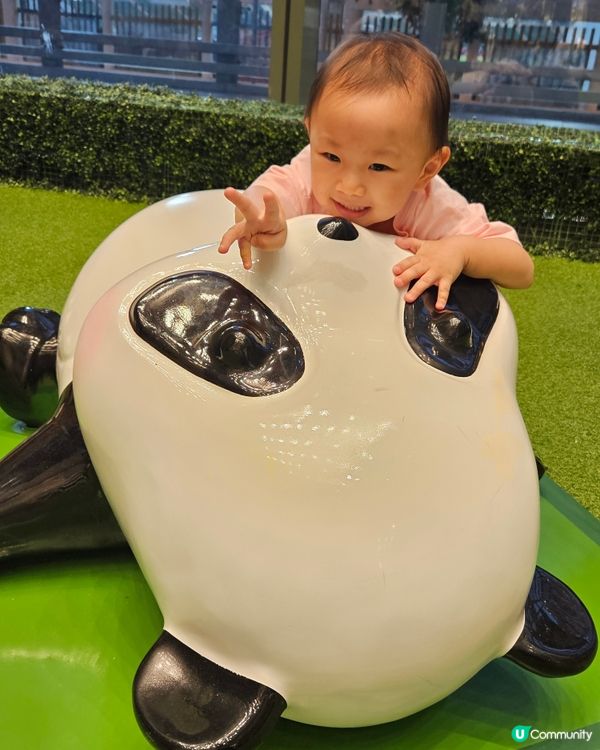 商場熊貓熱潮🐼