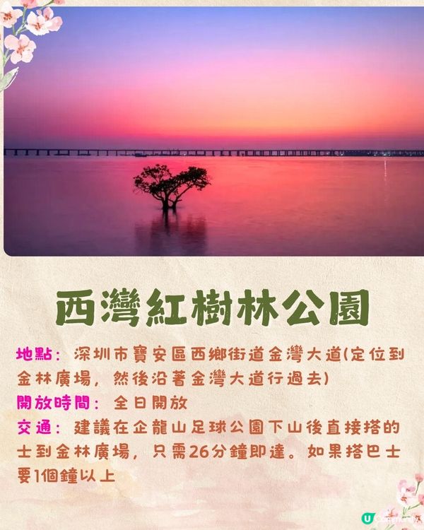 深圳寶安打卡美食一日遊攻略❗歐式教堂/ 天梯公園/深圳最美日落☀️附交通資訊