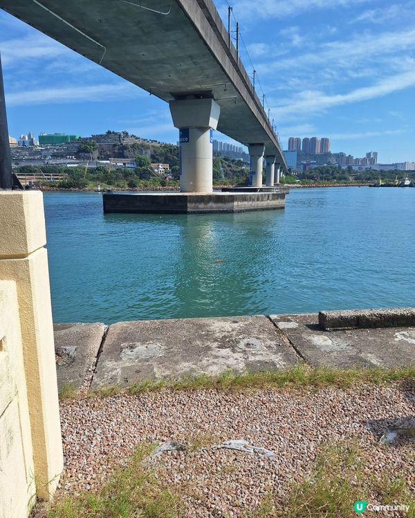 揮揮手👋🏻  再見啦，舊公司！