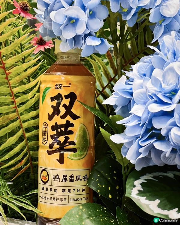 聽說鴨屎香變了檸檬茶新潮流🦆