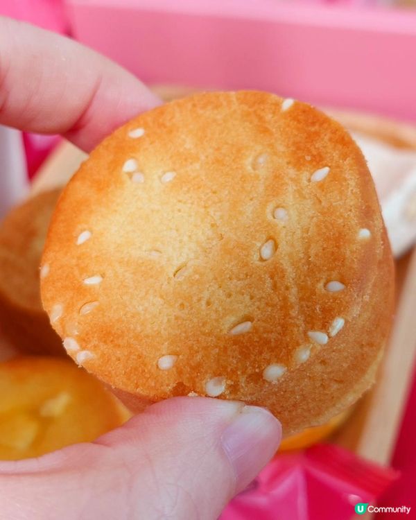 最強台灣伴手禮～胖肉鋪