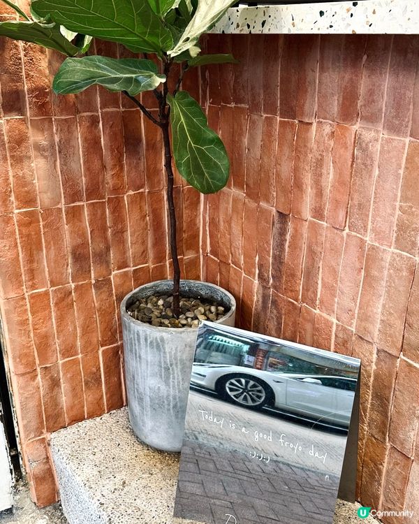 凍冰冰🥶 最啱食雪糕乳酪🍦😋